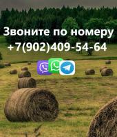 Фото комнаты в аренду (7)