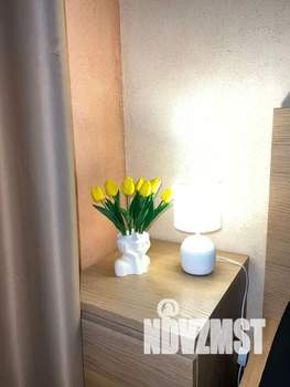 Студия квартира, посуточно, 28м2, 18/25 этаж