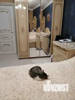 4-к квартира, на длительный срок, 70м2, 2/9 этаж