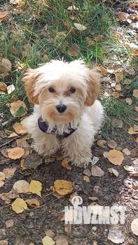 2-к квартира, на длительный срок, 45м2, 3/5 этаж