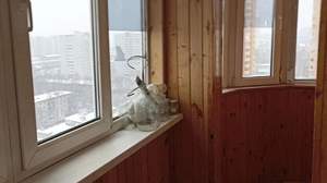 2-к квартира, на длительный срок, 69м2, 16/17 этаж