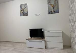 Студия квартира, на длительный срок, 30м2, 25/25 этаж