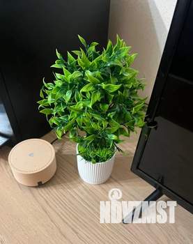 Студия квартира, посуточно, 28м2, 18/25 этаж