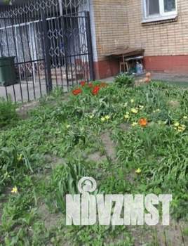 Фото квартиры на продажу (1)