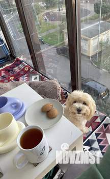 Студия квартира, вторичка, 34м2, 4/25 этаж