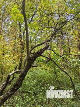 1-к квартира, вторичка, 38м2, 6/9 этаж