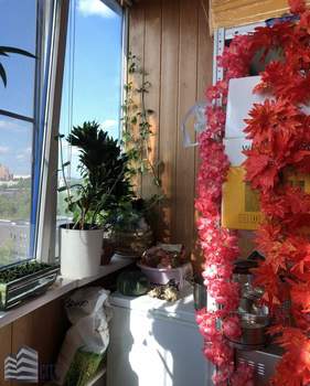 Фото квартиры на продажу (5)